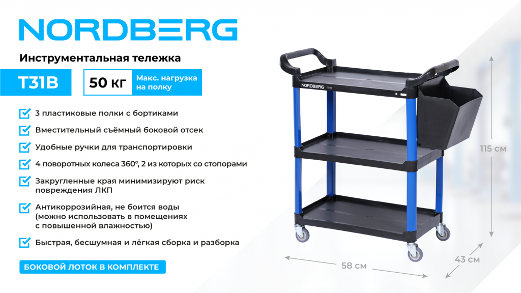 T31B_web_1.png T31B_web_1.png