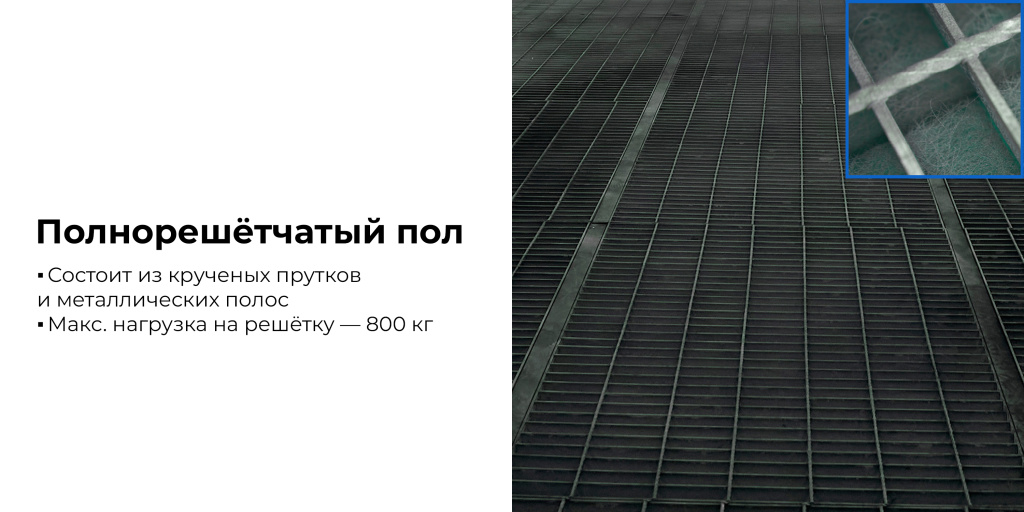 STANDART_3_rich.jpg