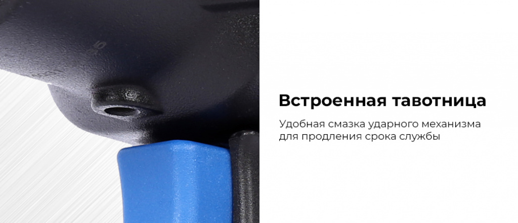 NP14140.rich2.jpg NP14140.rich2.jpg
